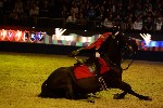 Cavalry - 00029